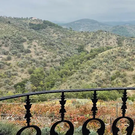 Ayda Baglari Winery & Vineyards *