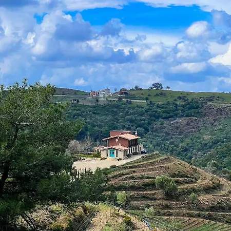 Ayda Baglari Winery & Vineyards