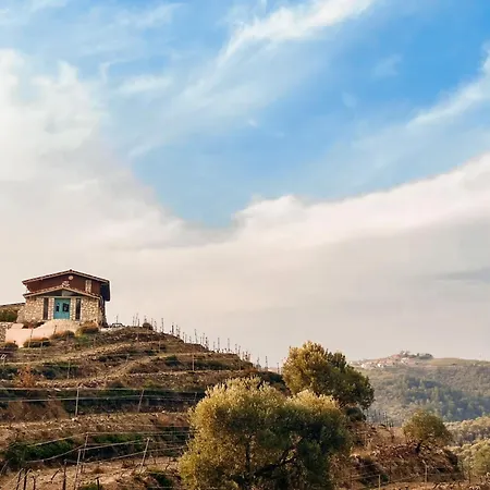 Ayda Baglari Winery & Vineyards * Seferihisar