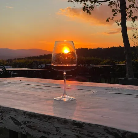 ホテル Ayda Baglari Winery & Vineyards