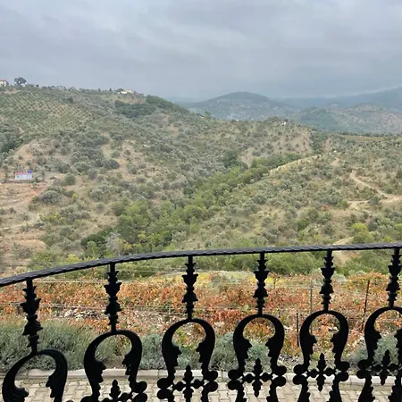 Ayda Baglari Winery & Vineyards ホテル セェフェリヒサール